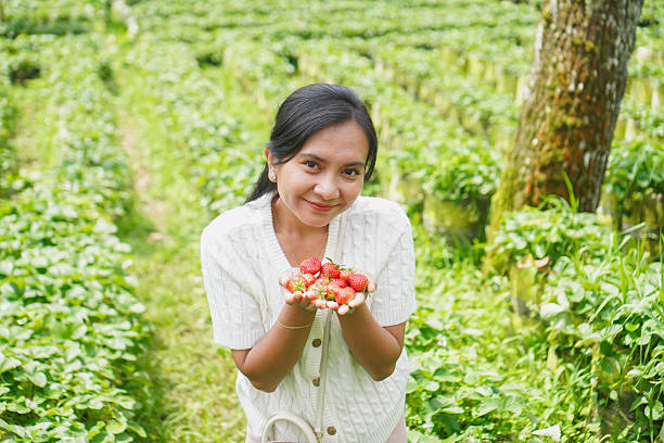 Woman holding fresh strawberry fruit outdoors with greenery background.